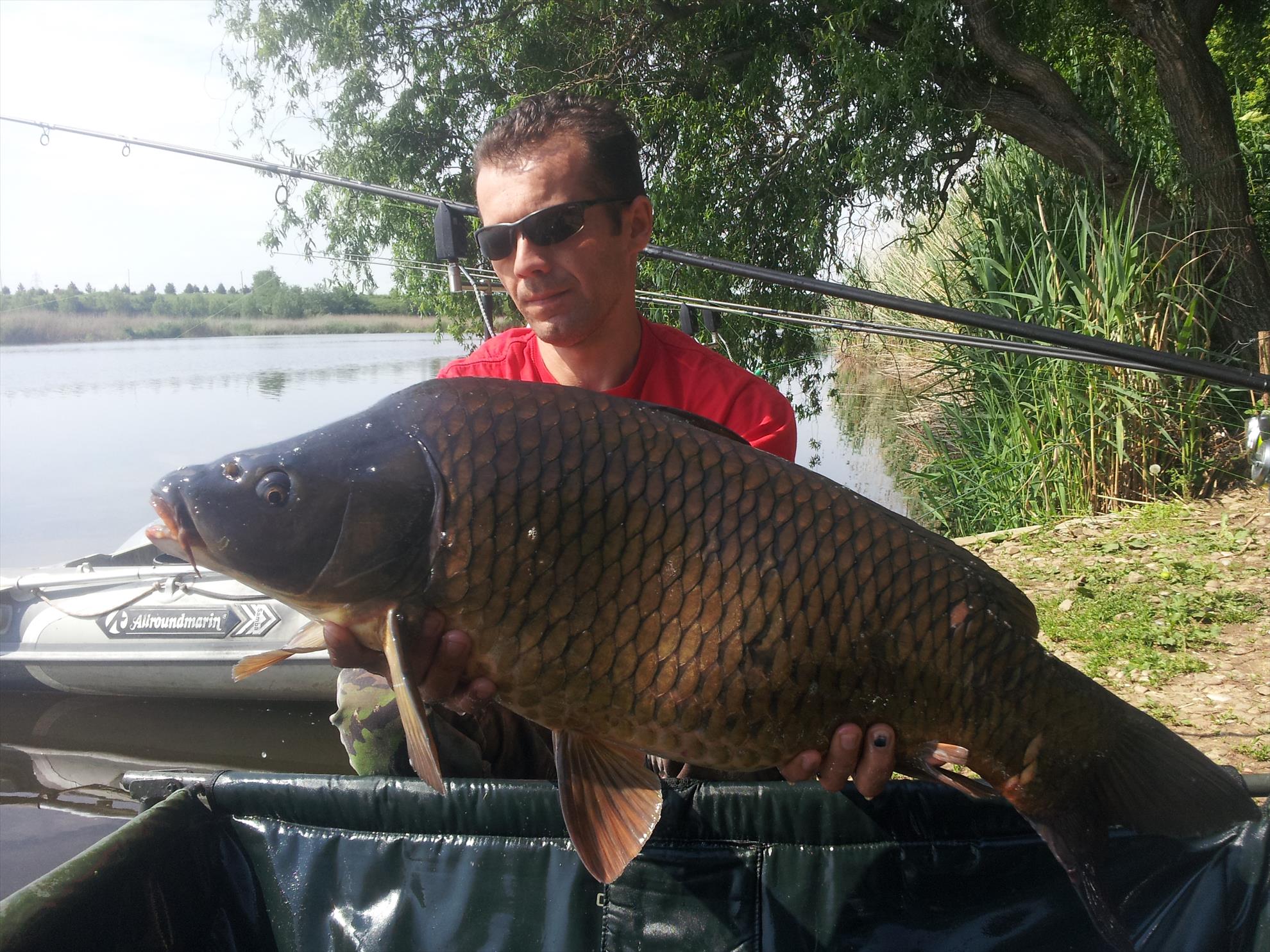 Tancabesti 1 - 4 iunie 2014 - 20150507101535.jpg